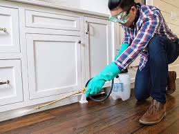 Best Real Estate Pest Inspections  in Pima, AZ